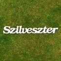 Szilveszter név felirat ajtóra vagy a gyermekszoba falára!