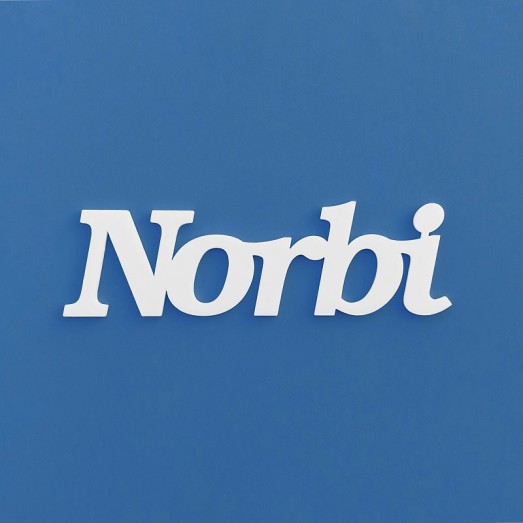 Norbi név felirat ajtóra vagy a gyermekszoba falára!